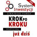 (Gra Forex) Inwestowanie na Forex – Systemy inwestycyjne